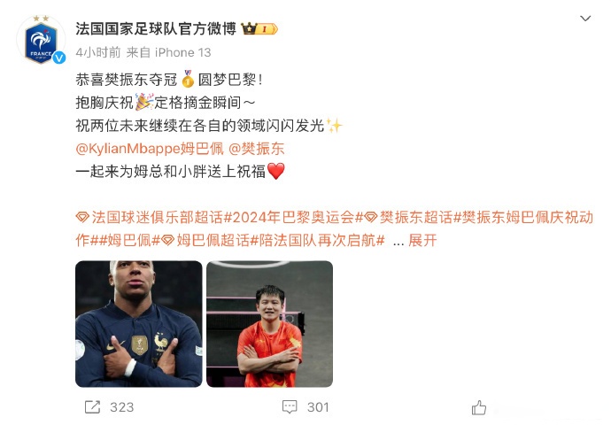 法国队翻盘韩国队，樊振东惊艳四座