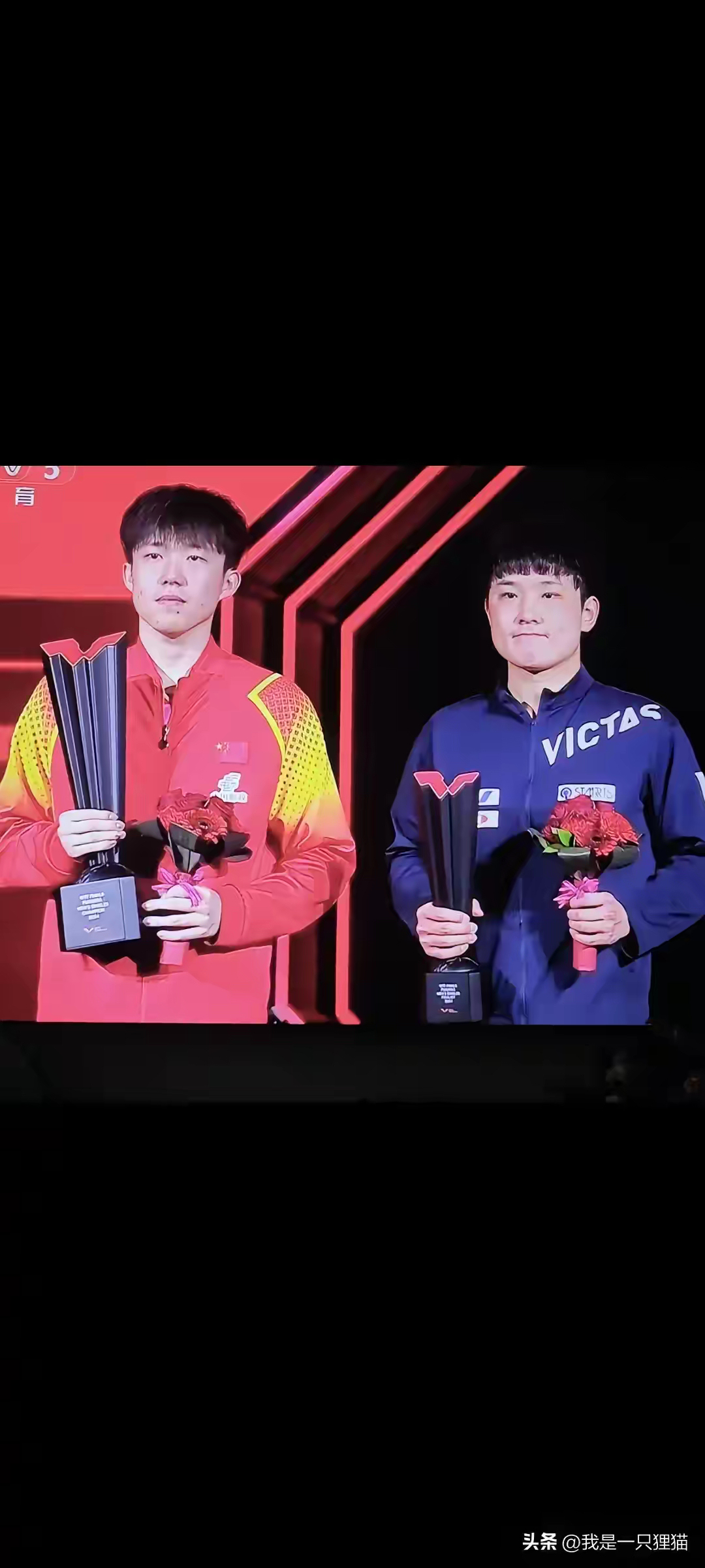 奥地利队力克波兰队,张本智和带队取胜 奥地利队力克波兰队,张本智和带队取胜