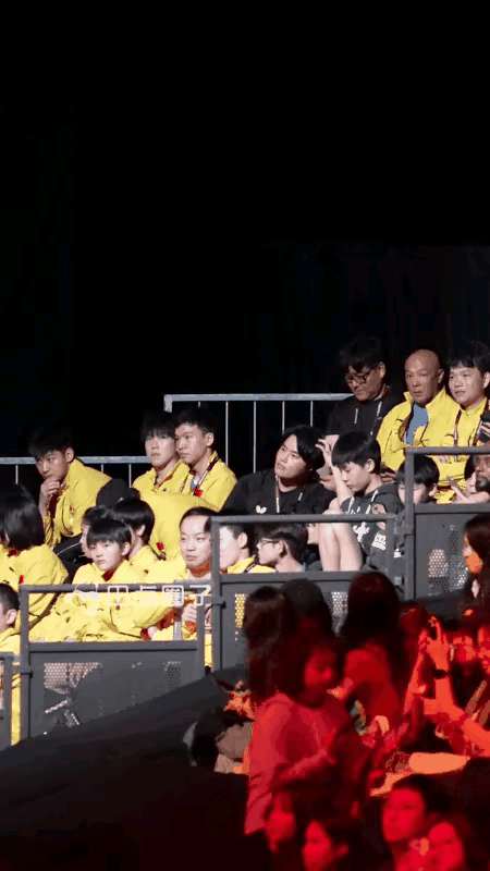 球队集体配合默契，赢得球迷支持与认可