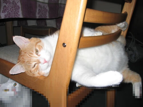 绝境淬火，哈登压力下完成爆发，76人连续得分压制掘金