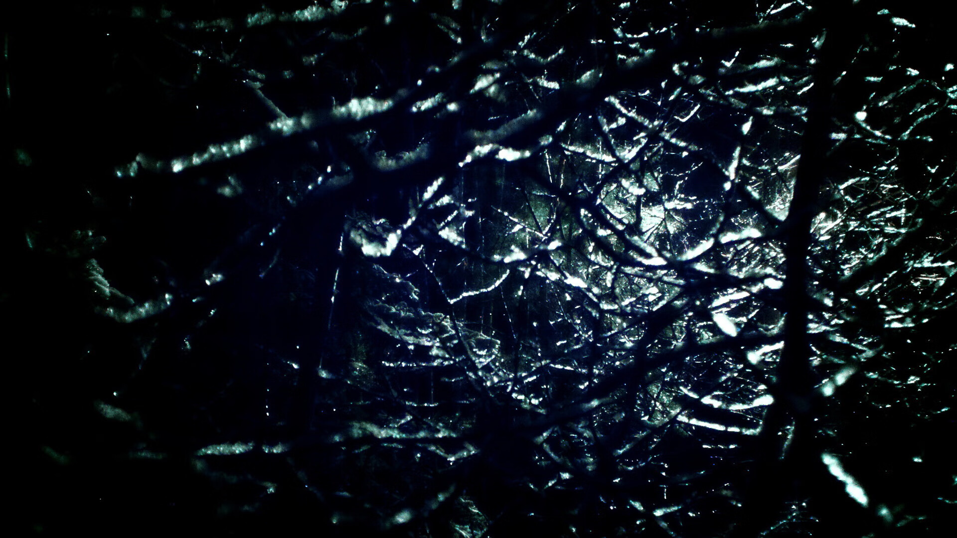 欧冠半决赛焦点战,鹈鹕提前终结悬念,快船遗憾出局