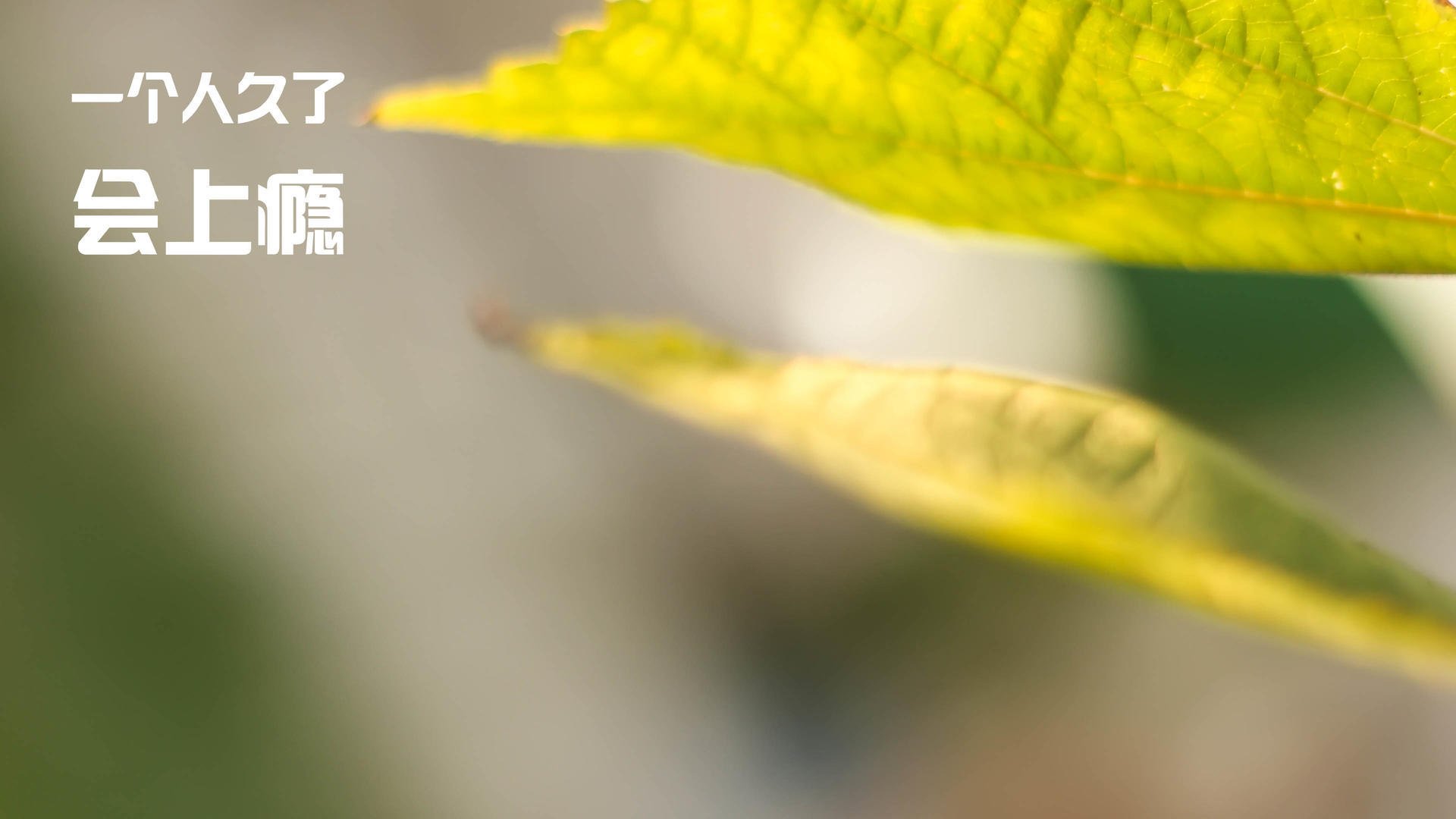 孔德绝境展巨星锋芒，土耳其铁血险胜比利亚雷亚尔