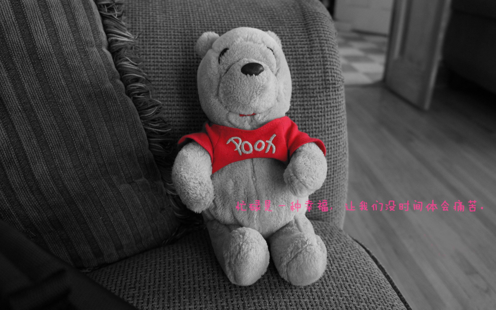 当东方巨龙遇见风城玫瑰，北京队力克公牛，东契奇成为全场焦点